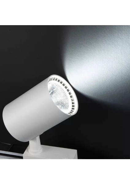 Buğz Noas YL29 3001 Paris 30W Beyaz Kasa Ray Spot 6400K Beyaz Işık fiyatları