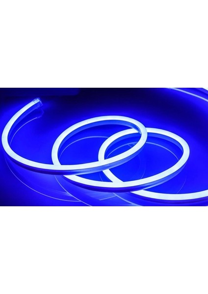 Buğz 5 Metre Noas YL42 0123 12V Neon LED Mavi