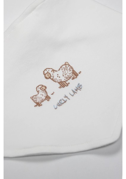 Curly Lamb 10'lu Hastane Çıkışı 11106 Bej Mavi Ekru fırsatları