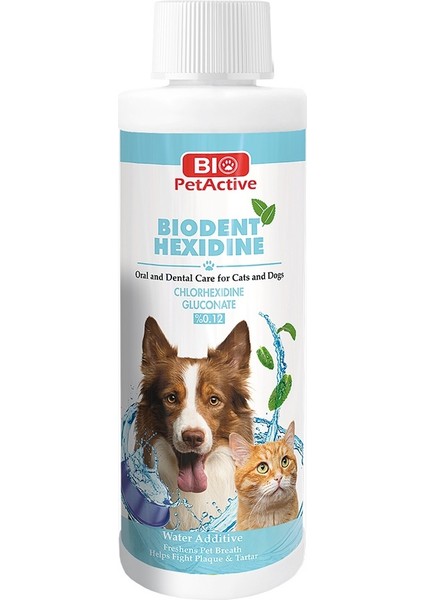 Bio Petactive Biodent Hexidine Kedi ve Köpekler Için Ağız Bakım Ürünü 250 ml