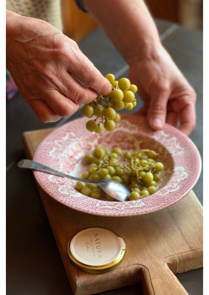 Sade Koruk Turşusu 500 G fiyatları