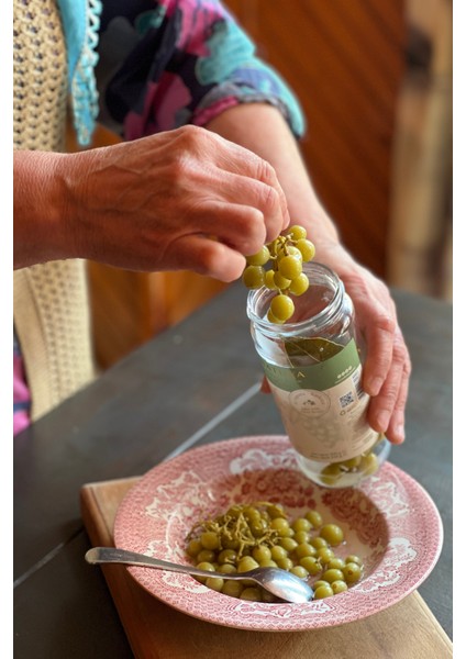 Sade Koruk Turşusu 500 G modelleri