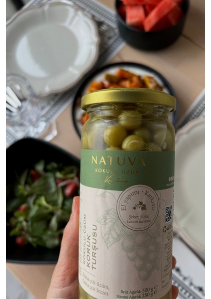 Sade Koruk Turşusu 500 G indirimleri