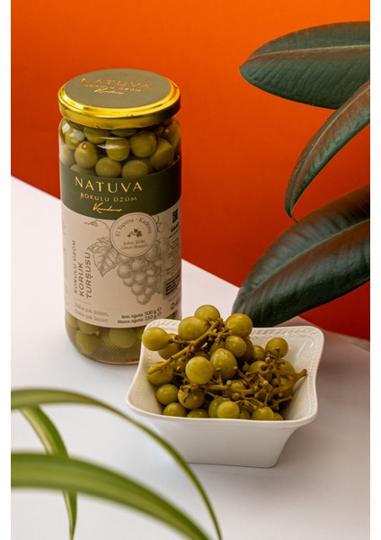 Sade Koruk Turşusu 500 G