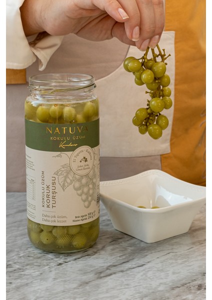 Sade Koruk Turşusu 500 G