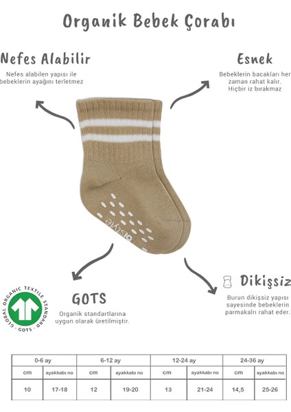 5'li Penye Kaymaz Çember Soket Çorap 10122 Bej fiyatları