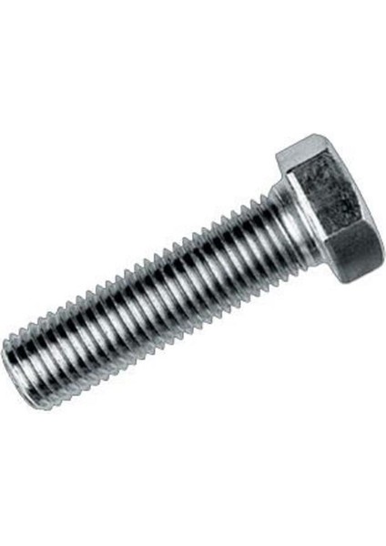 M5X40 Civata Dın 933 8,8 Beyaz Tam Paso (10 Adet)