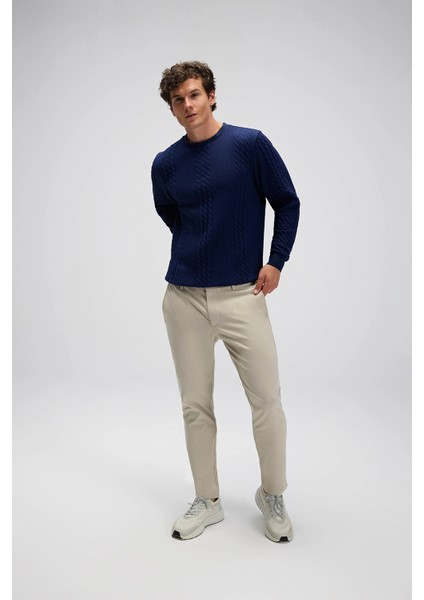 Pamuklu Regular Fit Bisiklet Yaka Sweat Erkek Sweat EM623 modelleri