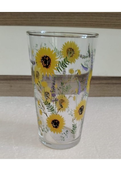 Rak Le Cam Meşrubat,su Bardağı 570 cc