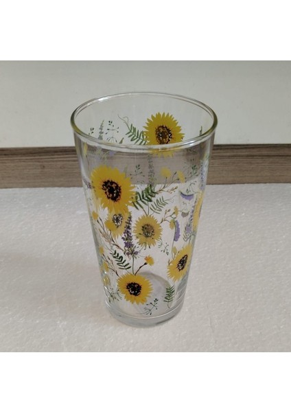 Rak Le Cam Meşrubat,su Bardağı 570 cc fiyatları