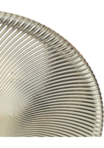 Sılver Chıc Ayaklı Sunum 21CM