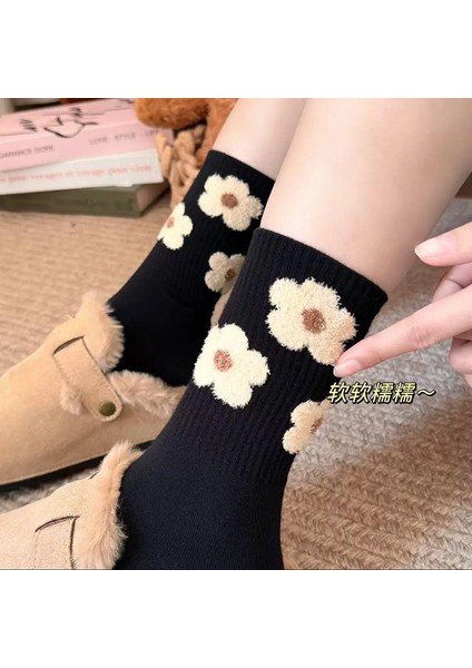 Uzun Kadın Çorabı, Sonbahar-Kış (Yurt Dışından)