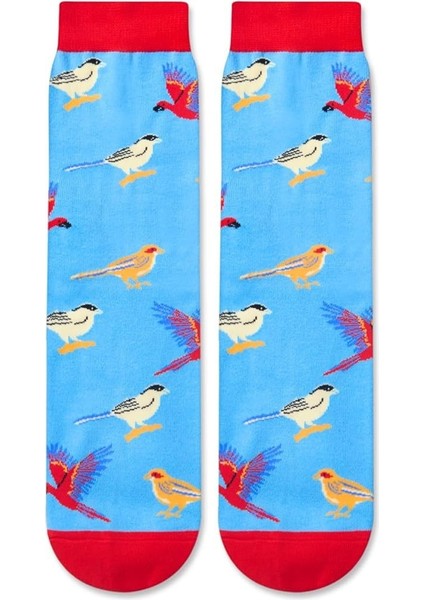 Moda Tarzı Uzun Çorap Seti (Yurt Dışından)