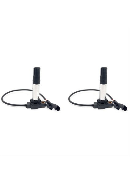 2 Adet 38010145B Ateşleme Bobini 38010144B Ktm 790 Ducati 821 848 1098 Motosiklet Aksesuarları DQG3197A (Yurt Dışından)