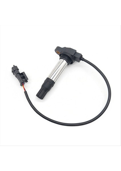 2 Adet 38010145B Ateşleme Bobini 38010144B Ktm 790 Ducati 821 848 1098 Motosiklet Aksesuarları DQG3197A (Yurt Dışından) indirimleri