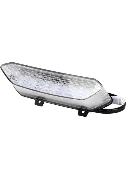 Motosiklet Kuyruk Lambası Atv Plaj Bisikleti Kuyruk Lambası 12V LED Arka Lambası Yamaha Raptor 700 2006-2018 Için Beyaz (Yurt Dışından)