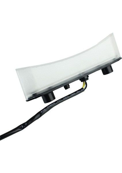 Motosiklet Kuyruk Lambası Atv Plaj Bisikleti Kuyruk Lambası 12V LED Arka Lambası Yamaha Raptor 700 2006-2018 Için Beyaz (Yurt Dışından) fırsatları