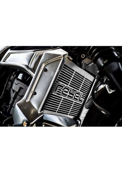 Motosiklet Radyatör Koruyucu Izgara Guard Koruyucu Kapak Honda Rebel Cmx 300 500 2017-2020 Su Soğutucu Koruma (Yurt Dışından) modelleri