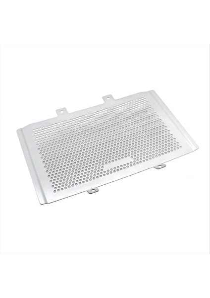 Motosiklet Ön Kalkan Motor Kapağı Fan Koruyucu Kapak Radyatör Izgarası Guard Cfmoto 450MT MT450 450 mt 2024-GÜMÜŞ (Yurt Dışından)