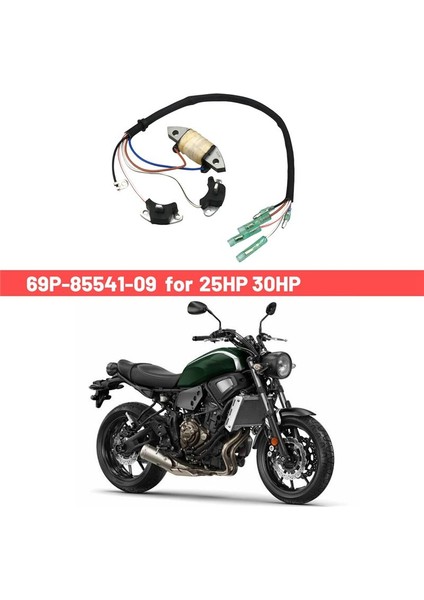 69P-85541-09 Şarj Bobini Tetik Ateşleme Bobini Motosiklet Yamaha 25HP 30HP (Yurt Dışından) modelleri