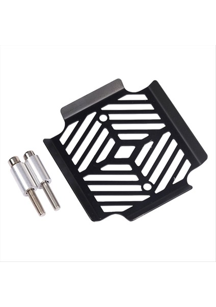 Bmw Için G310GS 2017-2023 G310R 2017-2020 Motosiklet Doğrultucu Koruyucu Güvenlik Radyatör Izgara Kapağı Aksesuarları (Yurt Dışından)