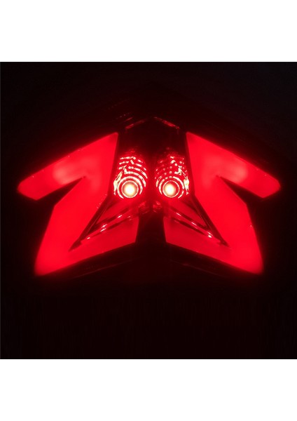 Kawasaki Z800 ZX6R Z125 Için Motosiklet LED Arka Lambası Fren Arka Sinyal Gösterge Lambası Arka Lambası (Yurt Dışından) indirimleri