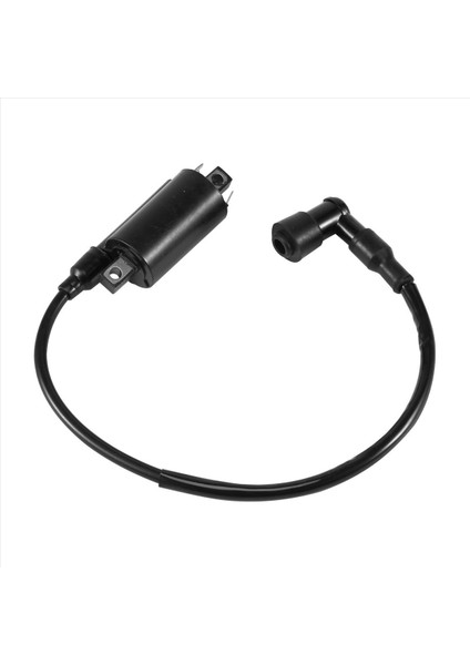 Motosiklet Ateşleme Bobinleri Uyar Yamaha GS125 GN125 VX250 Virago 1100 XV1100 XV-1100 1995-2007 (Yurt Dışından) modelleri