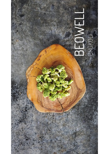 Nutrı Kıds - Yeşil Dostum Bro modelleri