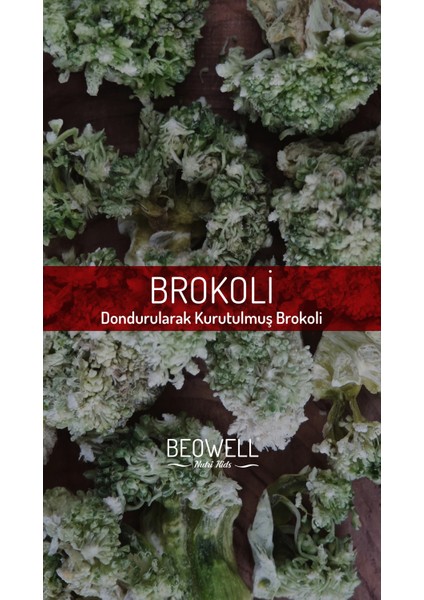 Nutrı Kıds - Yeşil Dostum Bro fırsatları