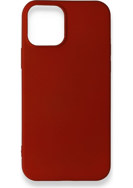 iPhone 12 Pro Kılıf Esnek Yapılı Ince Standart Ruber Kapak Ryc/first