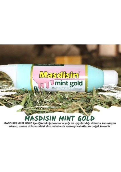 royal ilaç royal masdisin mint gold meme bakım kremi 250 ml fiyatları