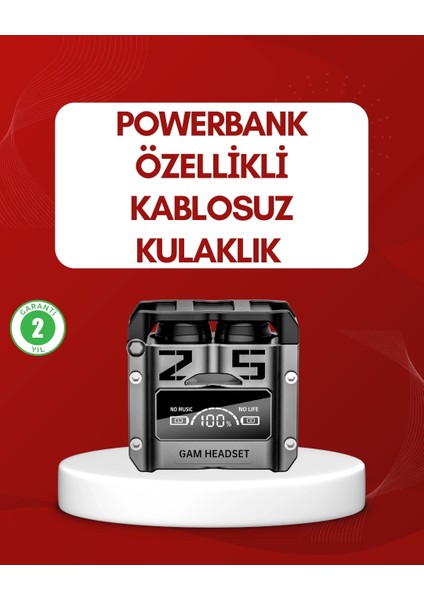 Buğz Anc Aktif Gürültü Önleyici Kablosuz Bluetooth Kulaklık