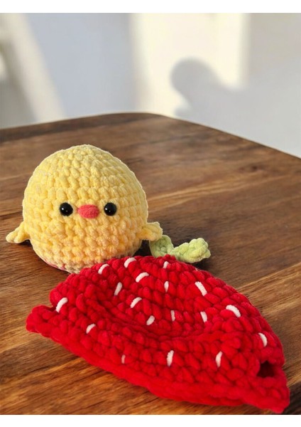 Çilek Kostümlü Civciv modelleri