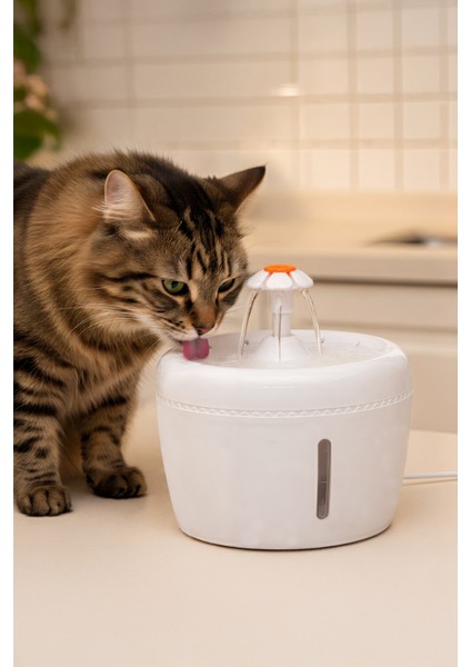 Kedi ve Köpekler Için Otomatik Su Pınarı Su Çeşmesi