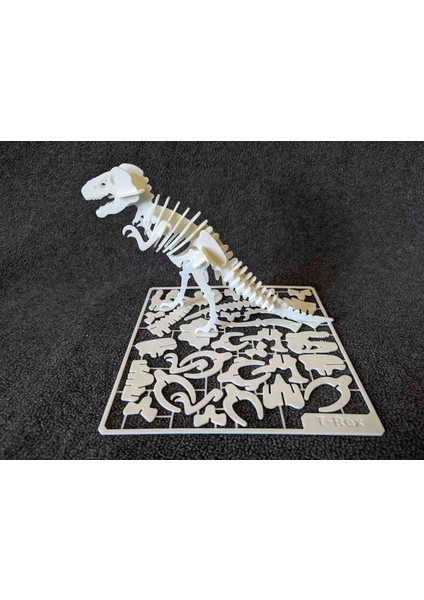 Trex Dinazor Maketi( 10 Adet)