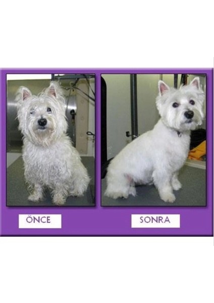 Buğz Profesyonel Kedi Köpek ve Evcil Hayvan Traş Makinesi Elektrikli indirimleri