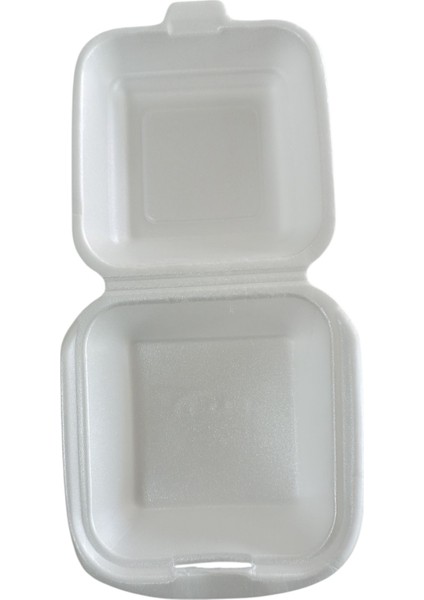 Hamburger Kabı Kullan-At x 10 Adet fiyatları