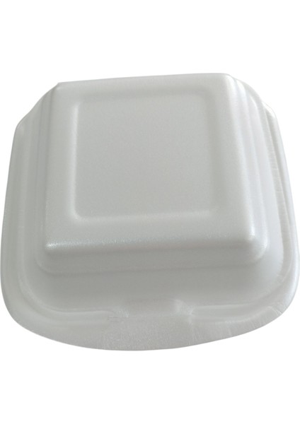 Hamburger Kabı Kullan-At x 10 Adet modelleri