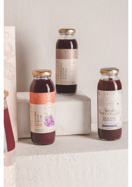 %100 Meyve Suyu Paketi modelleri