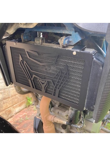 Cfmoto NK250 250NK 250CLX 2021-2022 Aksesuarlar Için Motosiklet Radyatör Guard Grille Kapak Koruyucu (Yurt Dışından) modelleri