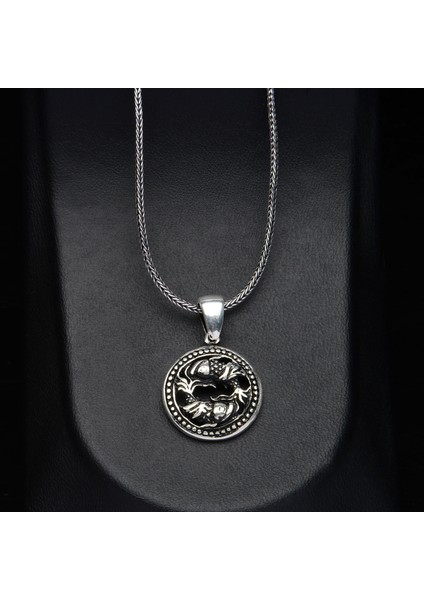 593 Balık Burcu Gümüş Kolye fiyatları