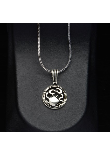 591 Yengeç Burcu Gümüş Kolye