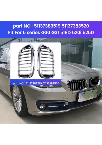 51137383519 51137383520 Ön Tampon Izgara Bmw 5 Serisi G30 G31 518D 520I 525D (Yurt Dışından) fırsatları