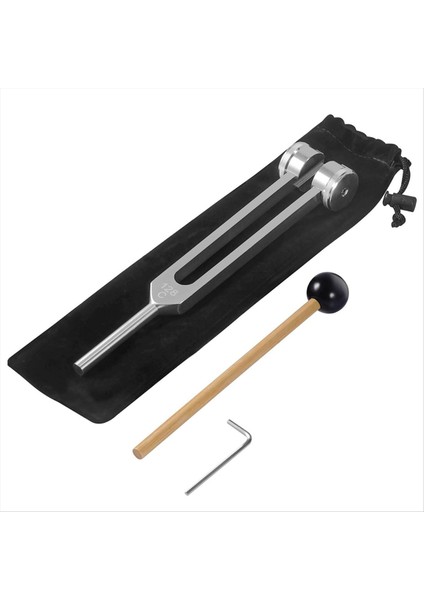 Kulak Temizleme Diyapazonu. Terapötik Sonikler Için Slayt. (Yurt Dışından) indirimleri