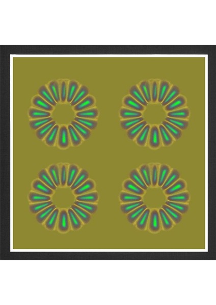 Manyetik Alan Görüntüleme Filmi, Manyetik Alan Dedektörü (Yurt Dışından) fırsatları