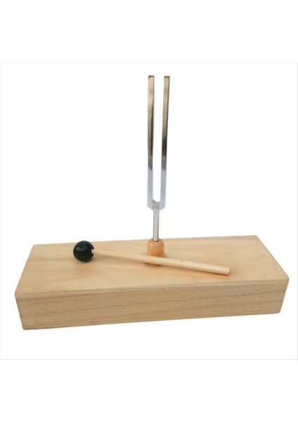 Ahşap Rezonans Kutusu ile 256Hz Diyapazon Akustik Bilim Araçları (Yurt Dışından) indirimleri