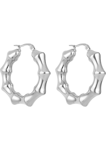 Orijinal Kadın Çelik Küpe DKJ.3.30007-1