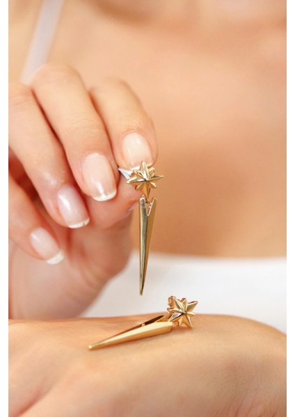 Asil 14 Ayar Kuzey Yıldızı Sallantılı altın küpe KP5179 fiyatları