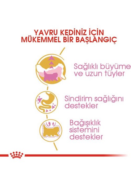 Persian Iran Kedisi Için Yavru Kedi Maması 2kg