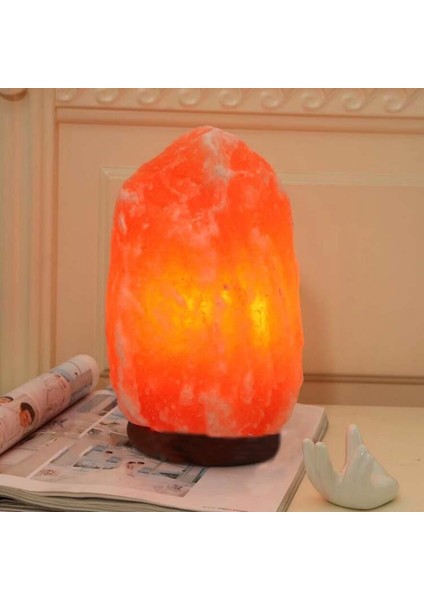 Himalaya Kristal Kaya Lambası Gece Işığı (Yurt Dışından)